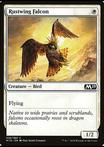 Rustwing Falcon (Rostschwingenfalke)